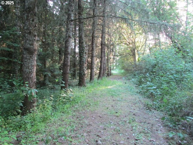 21451 Southeast Webfoot Road Dayton, OR 97114 - Photo 38 of 39 Gallery Image 38