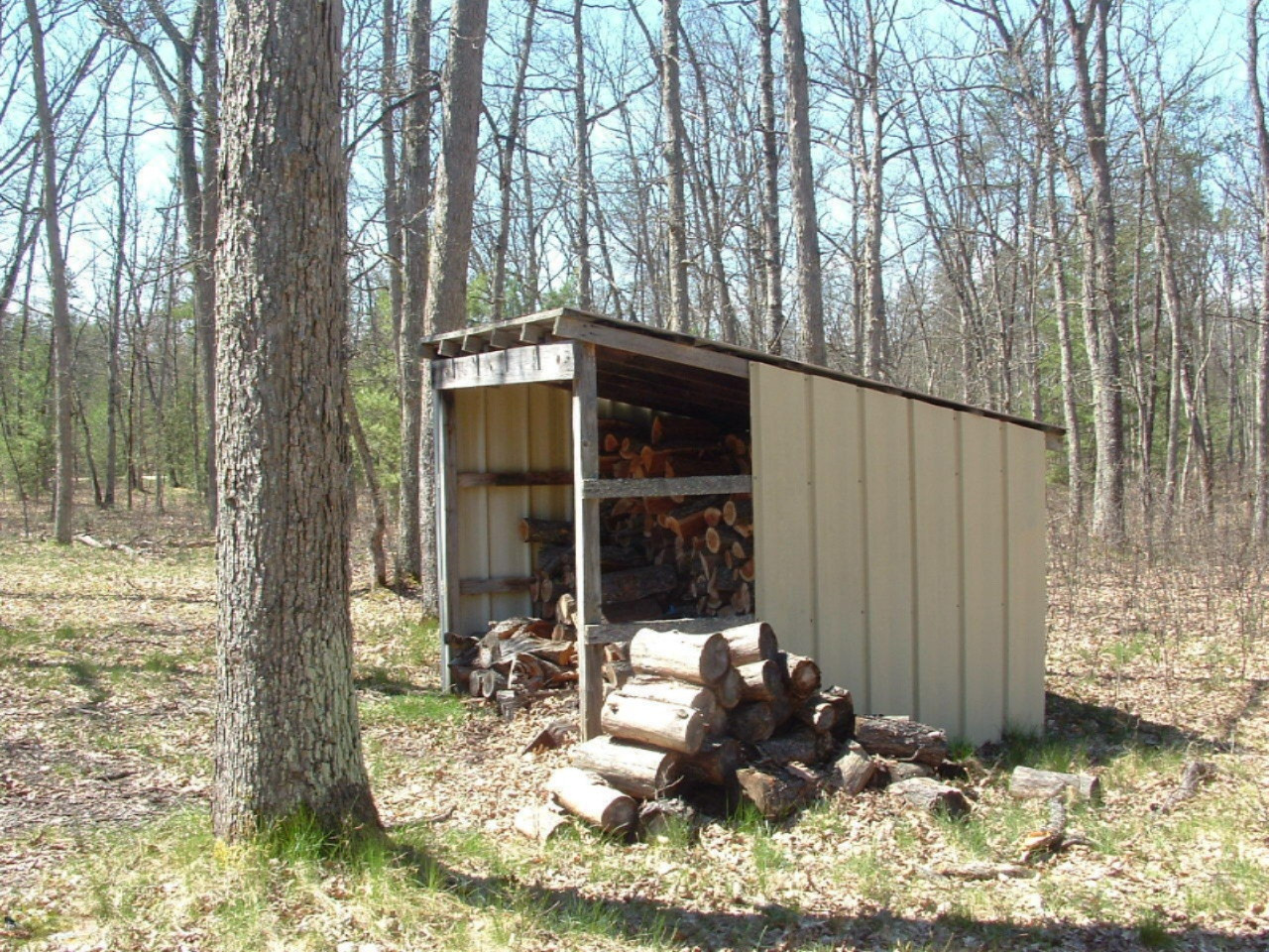 4972 Chalker Road Wellston, MI 49689 - Photo 4 of 19 DSCF0021