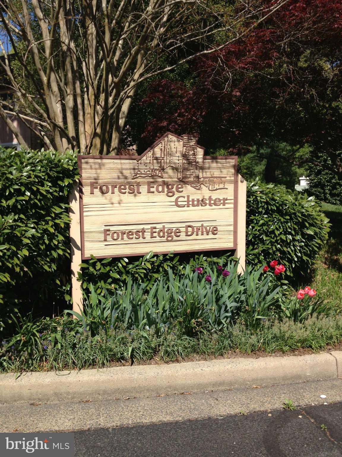 11180 Forest Edge Drive Reston, VA 20190 - Photo 4 of 24 Community