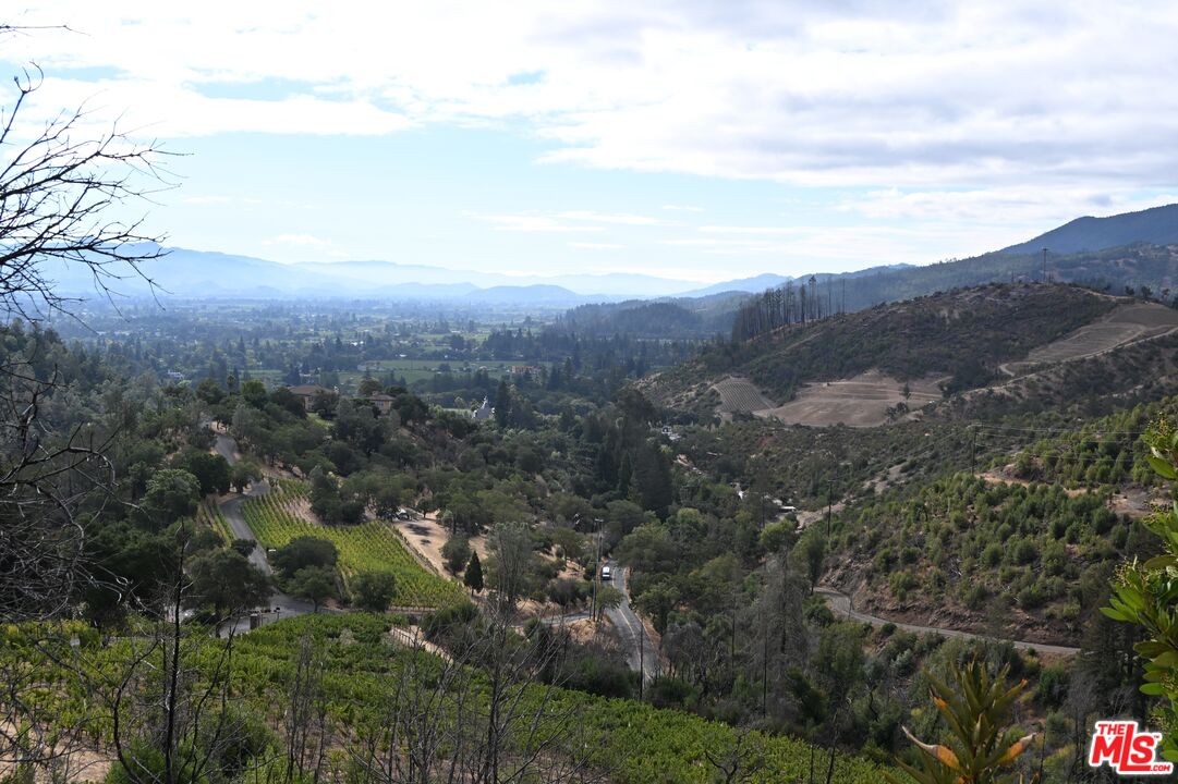 a view of a city with lush green forest