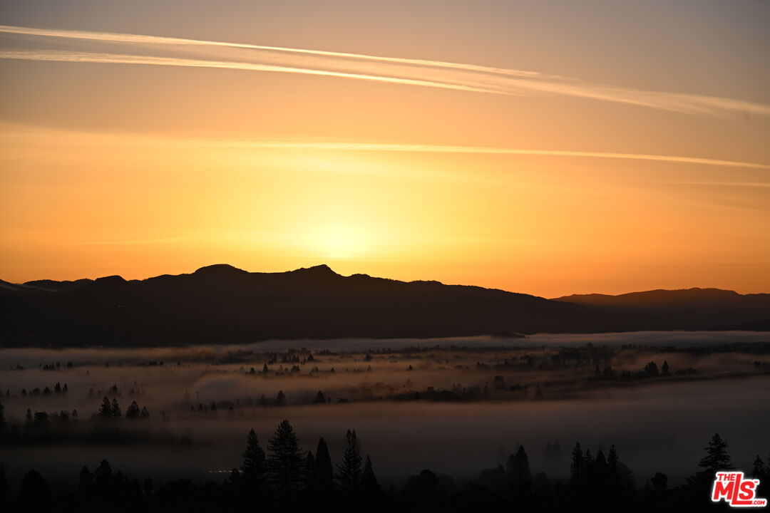 2910 Spring Mountain Road St. Helena, CA 94574 - Photo 12 of 13 a view of a lake in middle of forest