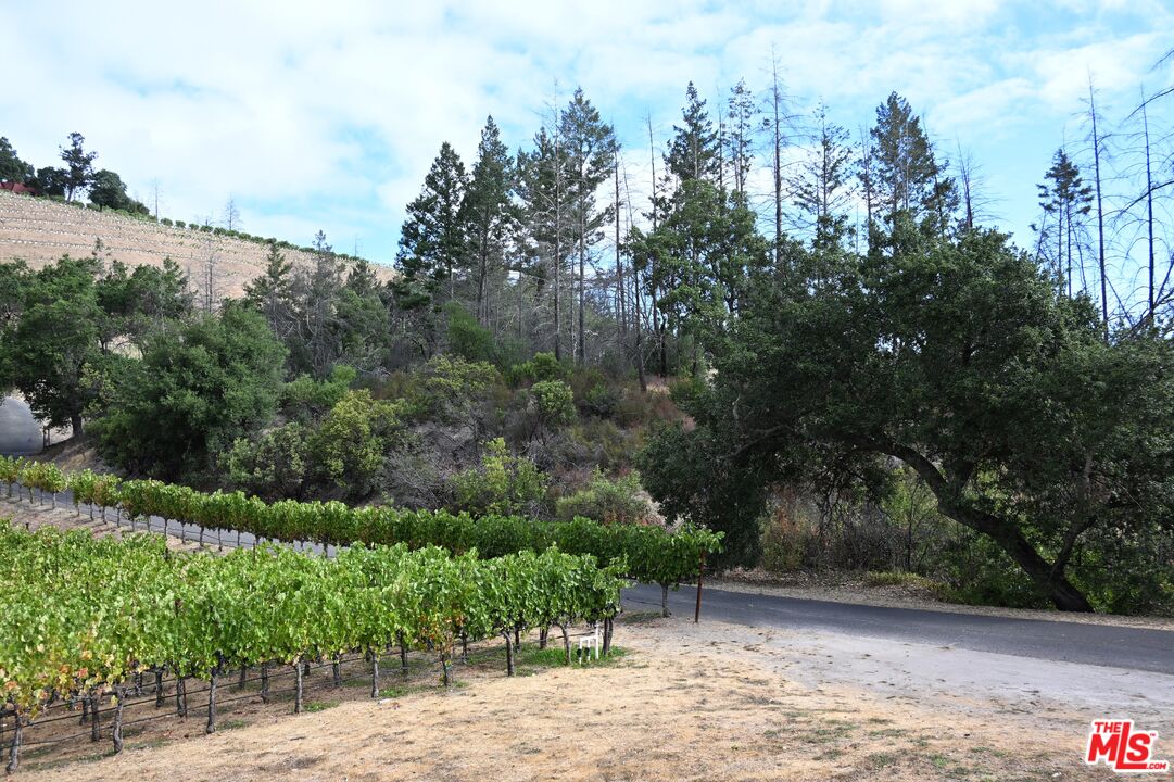 2910 Spring Mountain Road St. Helena, CA 94574 - Photo 2 of 13 a view of outdoor space and yard