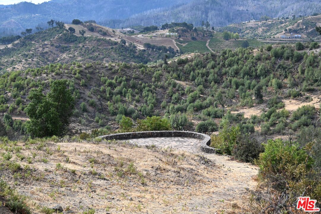 2910 Spring Mountain Road St. Helena, CA 94574 - Photo 3 of 13 a view of outdoor space and yard