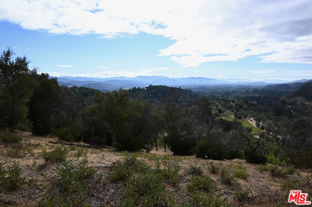 2910 Spring Mountain Road St. Helena, CA 94574 - Photo 4 of 13 a view of a yard