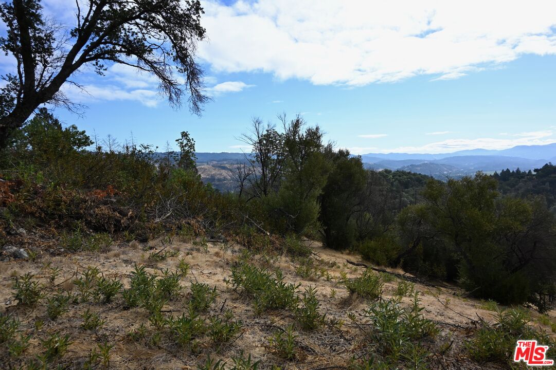 2910 Spring Mountain Road St. Helena, CA 94574 - Photo 5 of 13 a view of a yard with mountain view