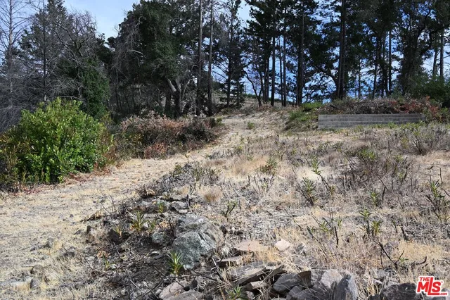 a view of backyard with green space