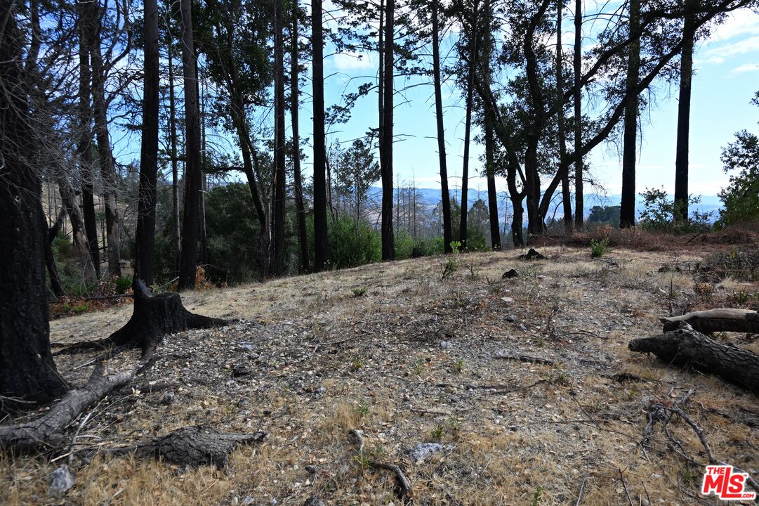 2910 Spring Mountain Road St. Helena, CA 94574 - Photo 9 of 13 a backyard of a house with lots of green space