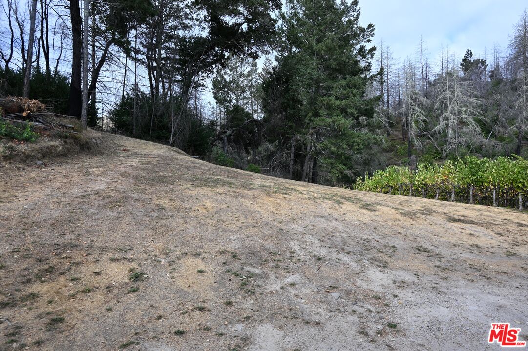 2910 Spring Mountain Road St. Helena, CA 94574 - Photo 10 of 13 a view of a backyard of the house