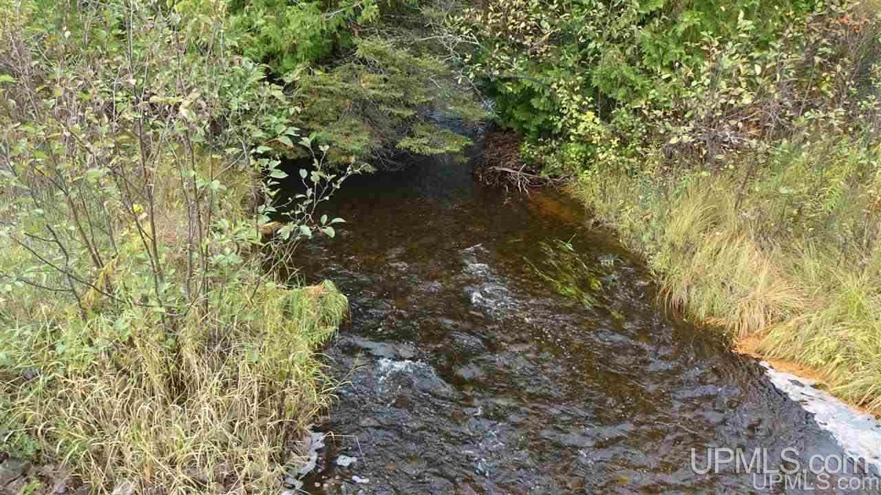 N2750 East T Road Trenary, MI 49891 - Photo 4 of 18