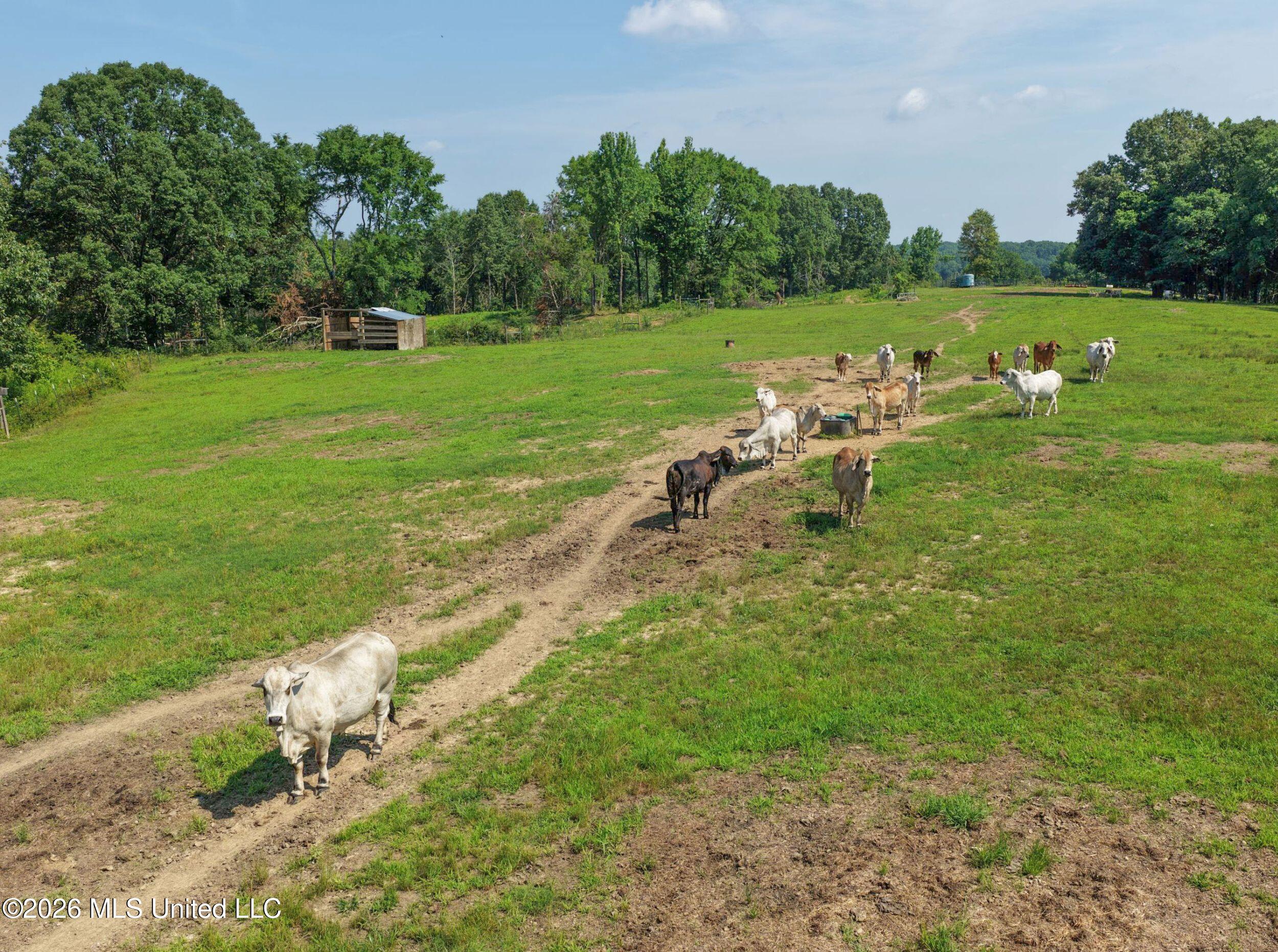 2169 Slocum Road Hernando, MS 38632 - Photo 41 of 94 5slcm33