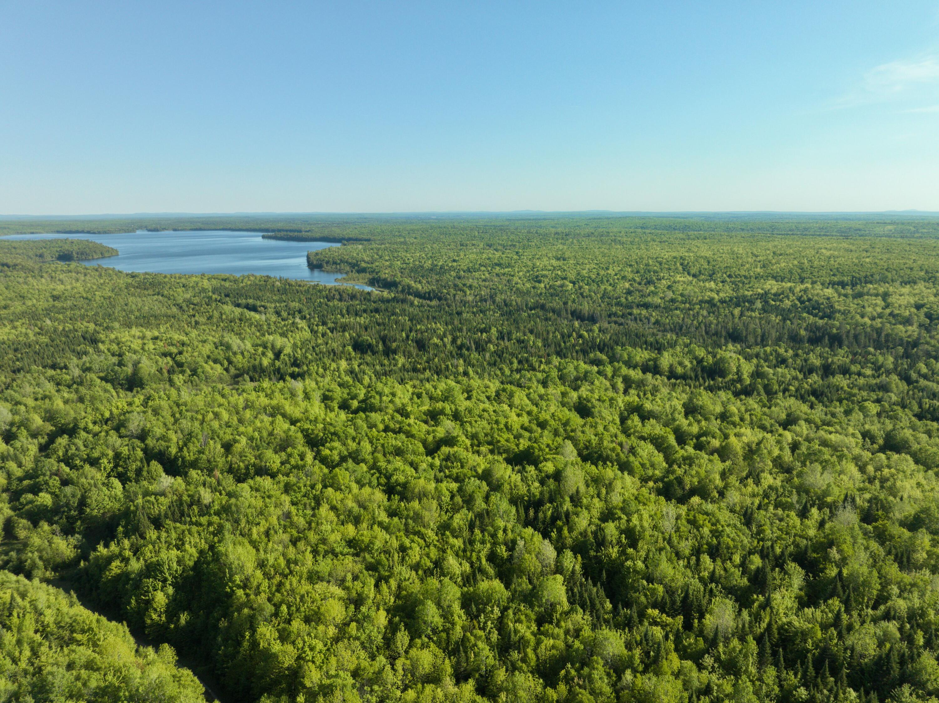 0 Dixie Road Wytopitlock, ME 04497 - Photo 3 of 22