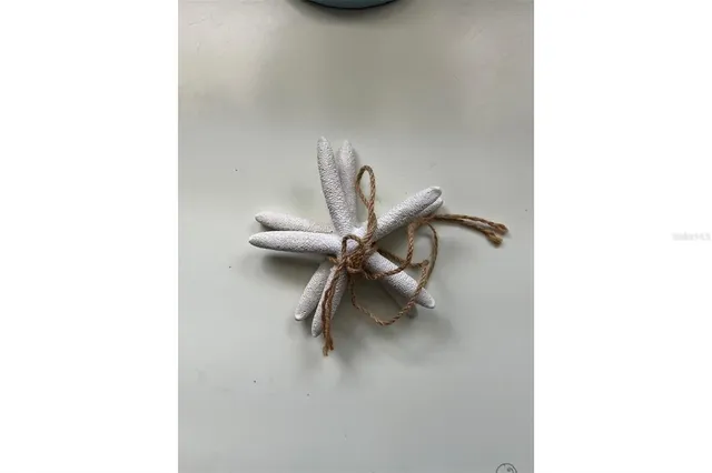 $18,000 | 345 Avenida Leona, Sarasota, FL 34242