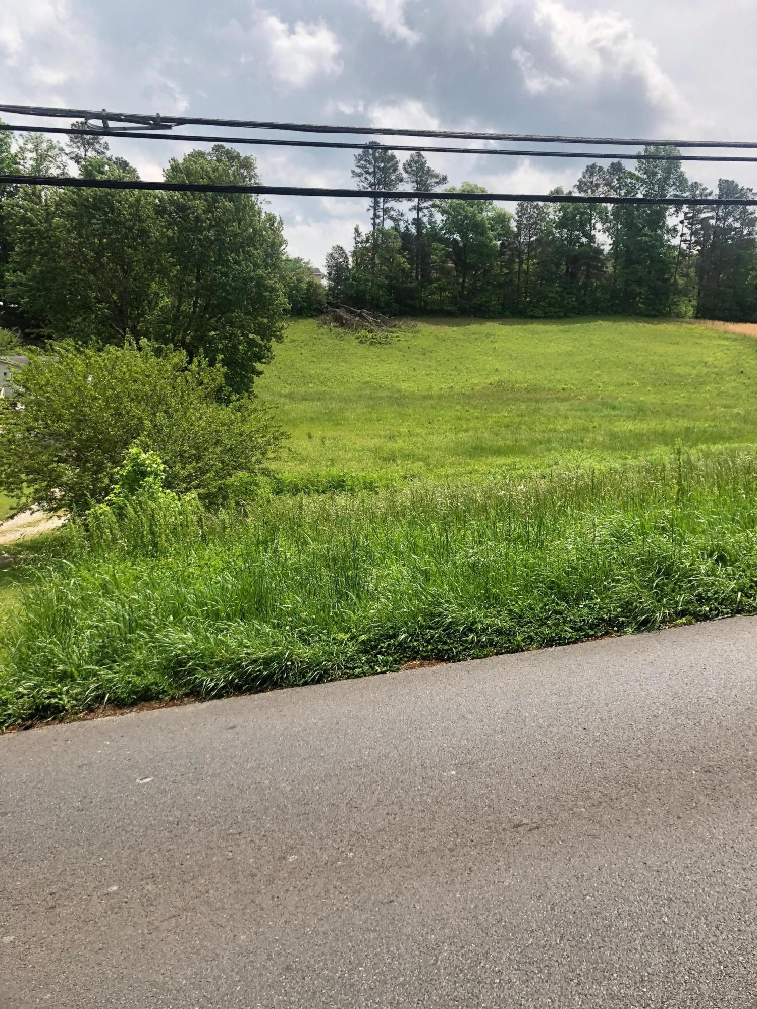 0 Buchanan Road Southeast Cleveland, TN 37323 - Photo 2 of 5