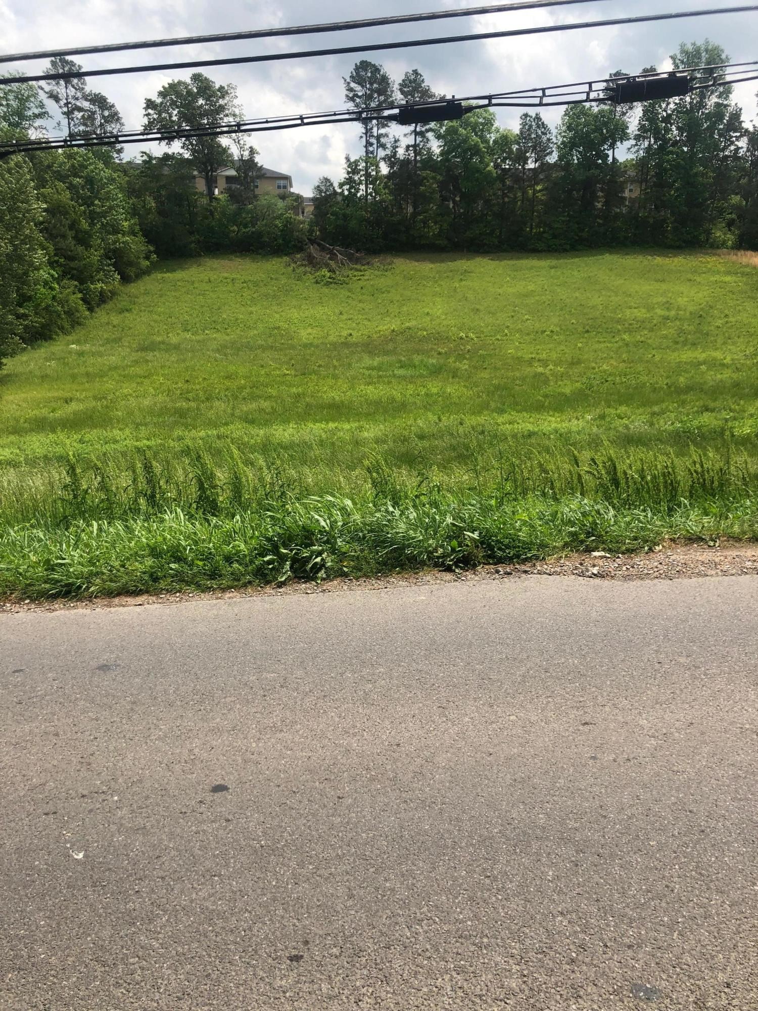 0 Buchanan Road Southeast Cleveland, TN 37323 - Photo 3 of 5