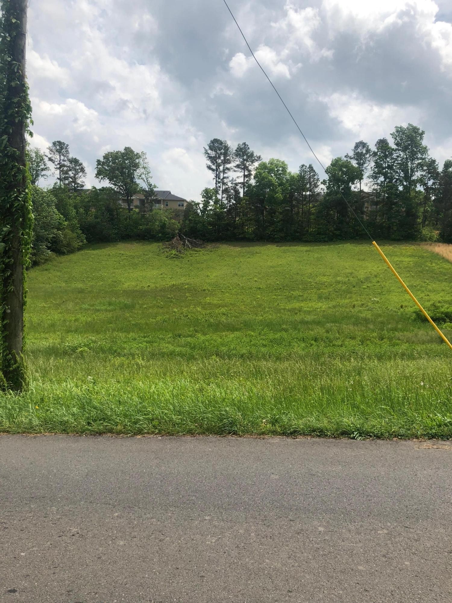 0 Buchanan Road Southeast Cleveland, TN 37323 - Photo 4 of 5