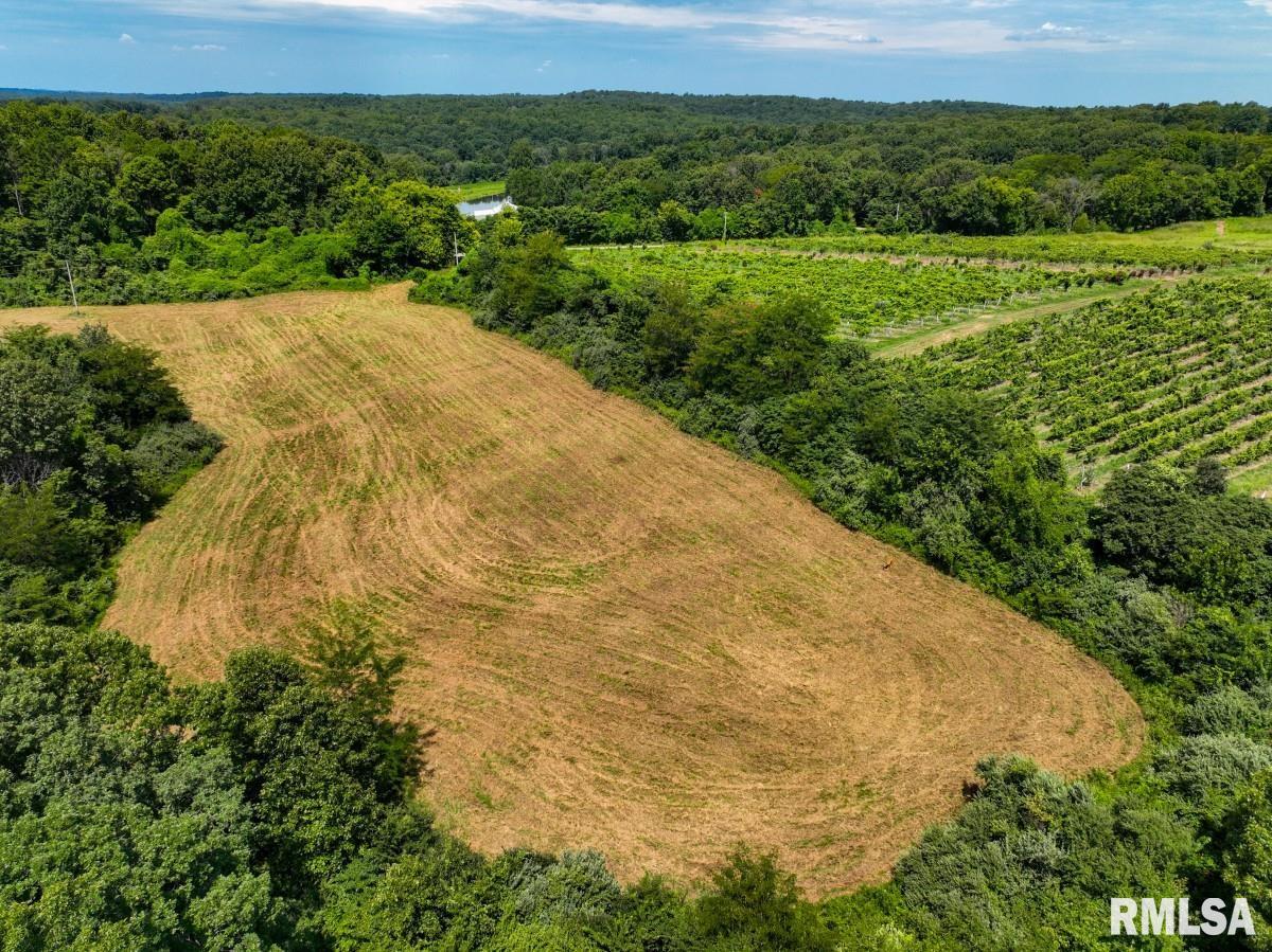 0 Robinson Hill Road Makanda, IL 62958 - Photo 5 of 29