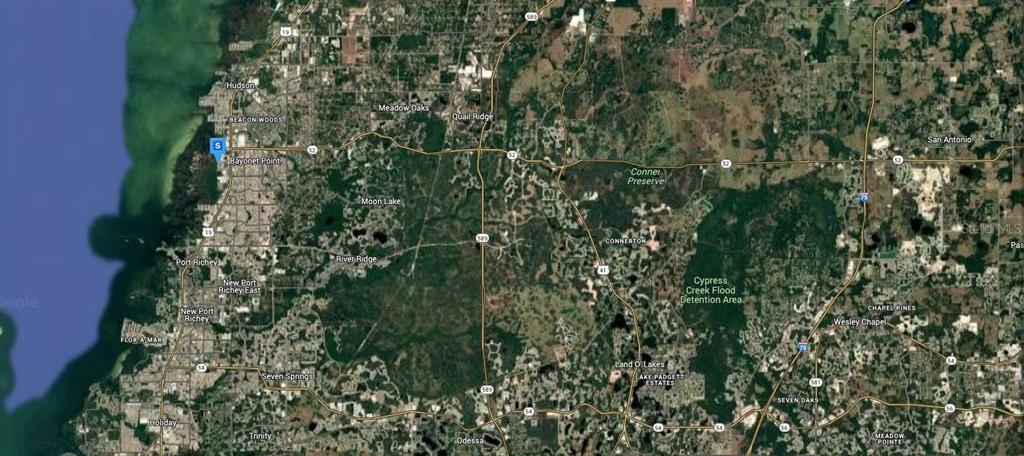 6511 Eleanor Drive Port Richey, FL 34668 - Photo 5 of 6