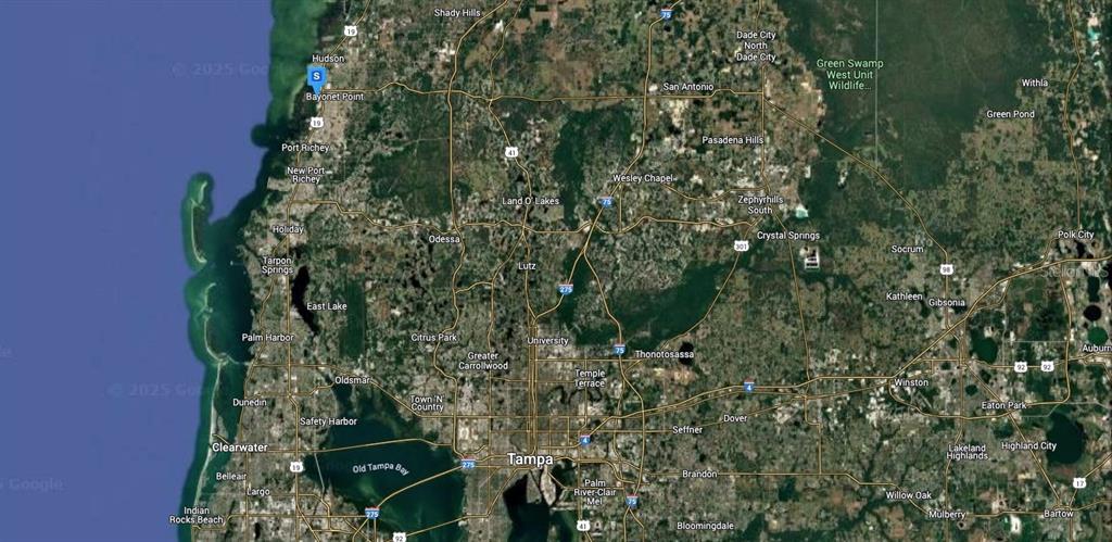 6511 Eleanor Drive Port Richey, FL 34668 - Photo 6 of 6