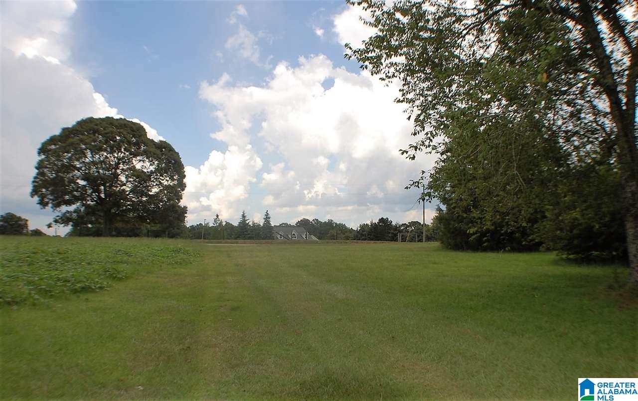 155 County Road 177 Jemison, AL 35085 - Photo 15 of 34