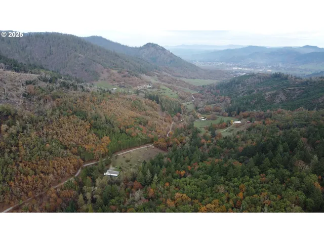 a view of a mountain in the distance