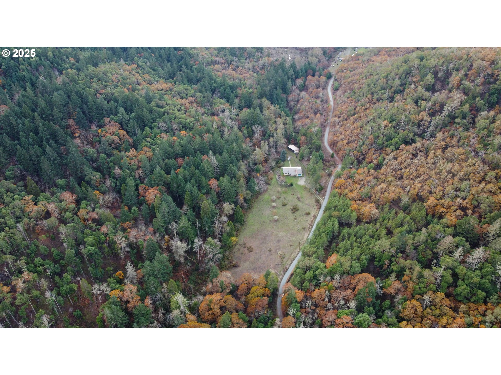 2100 Boyer Road Riddle, OR 97469 - Photo 26 of 33 a black and white photo of a forest