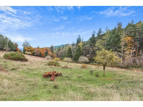 $435,000 | 2100 Boyer Road, Riddle, OR 97469