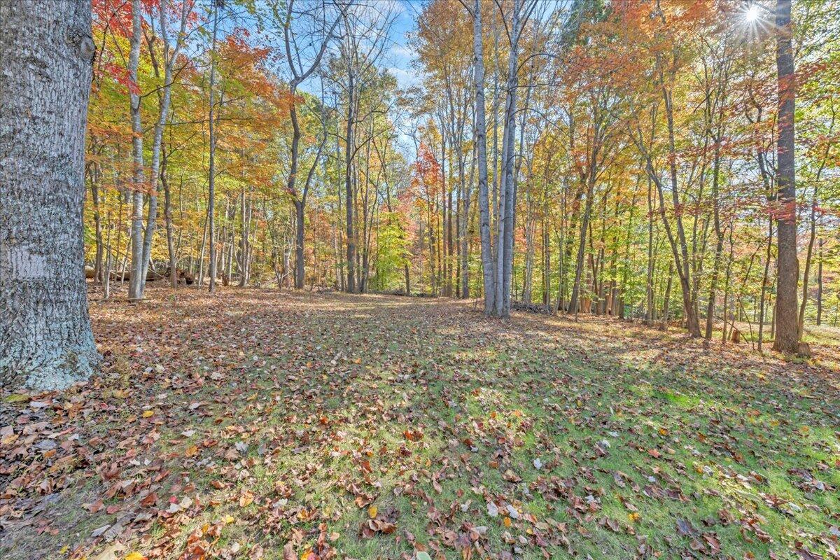 240 Highland Lake Road Union Hall, VA 24176 - Photo 36 of 56 a view of outdoor space with deck and trees