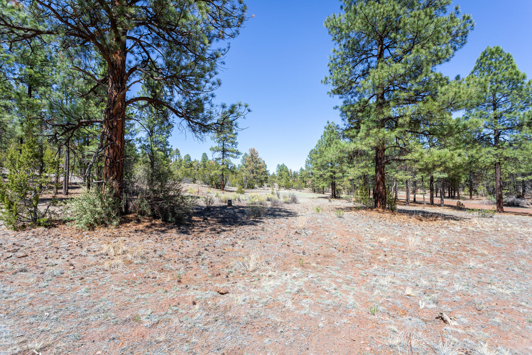 012 D Homestead Drive Overgaard, AZ 85933 - Photo 14 of 21