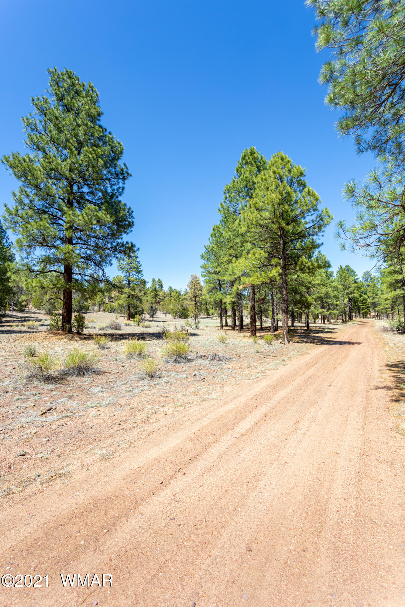 012 D Homestead Drive Overgaard, AZ 85933 - Photo 17 of 21