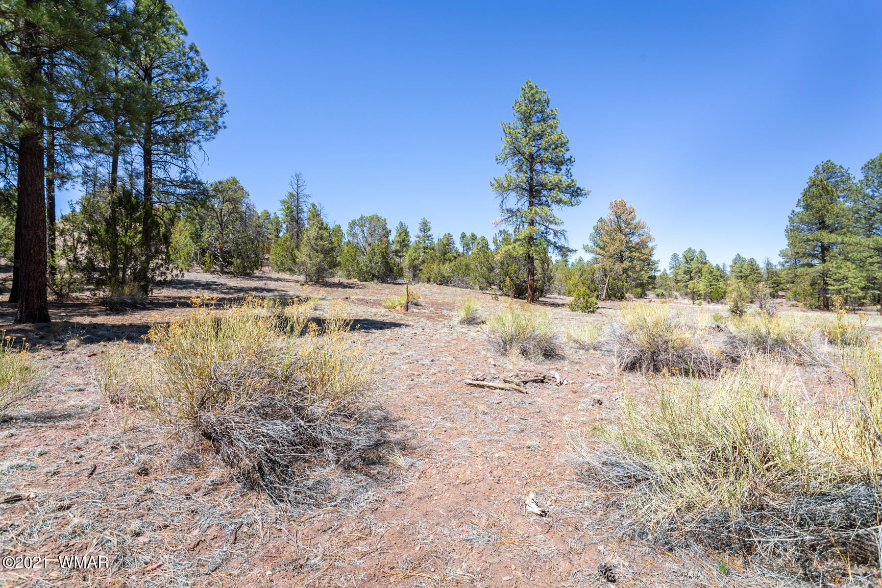 012 D Homestead Drive Overgaard, AZ 85933 - Photo 21 of 21