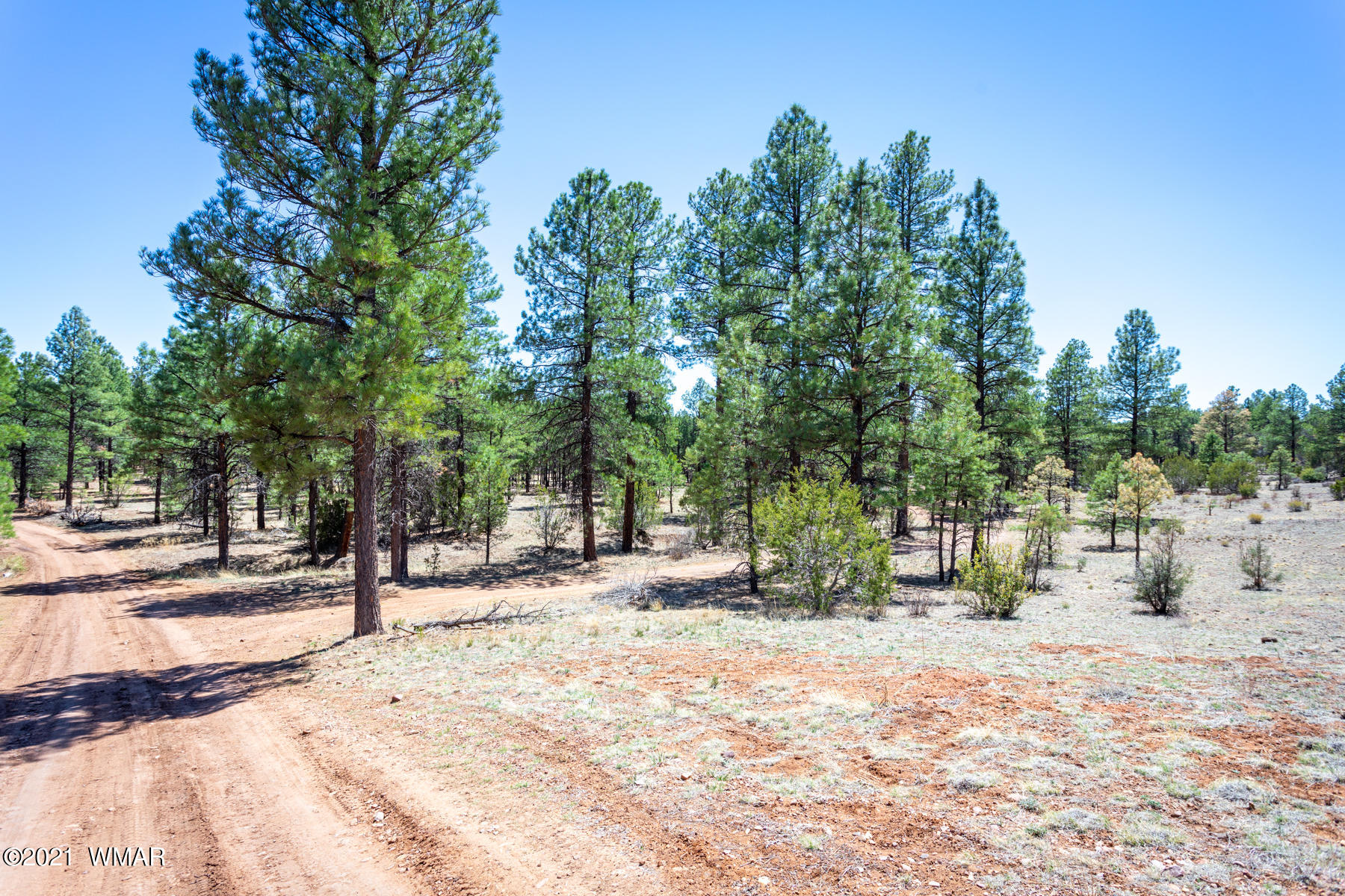 012 D Homestead Drive Overgaard, AZ 85933 - Photo 7 of 21