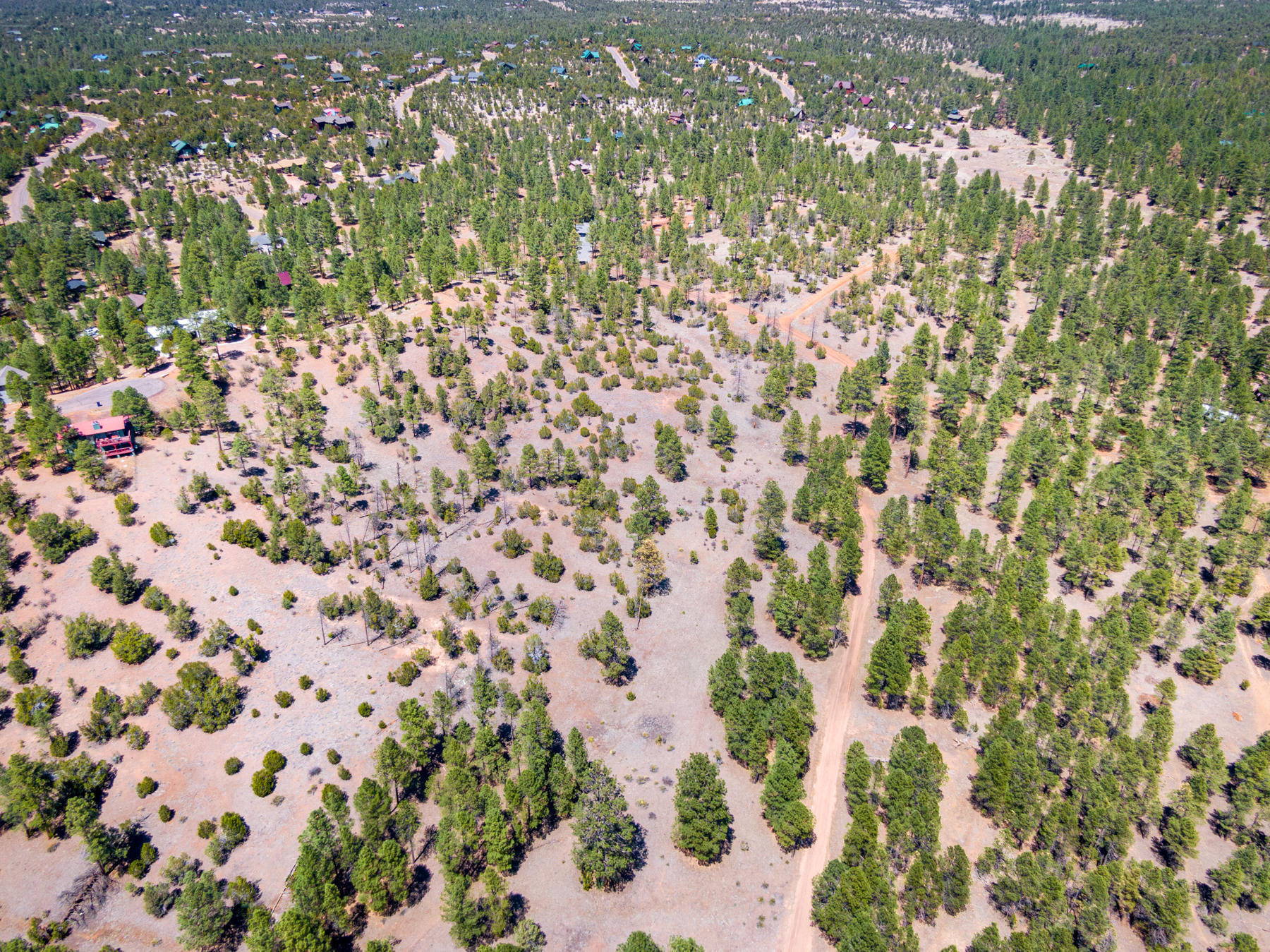 012 D Homestead Drive Overgaard, AZ 85933 - Photo 9 of 21