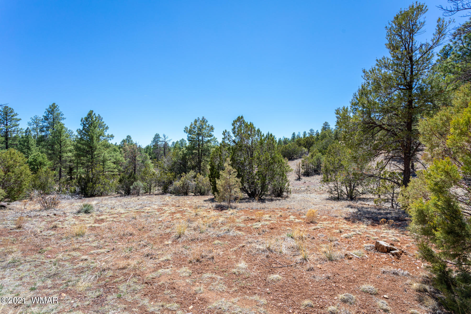 012 D Homestead Drive Overgaard, AZ 85933 - Photo 10 of 21