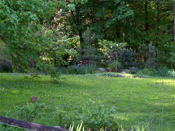 330 Amity Street Amherst, MA 01002 - Photo 12 of 12 Gallery Image 12