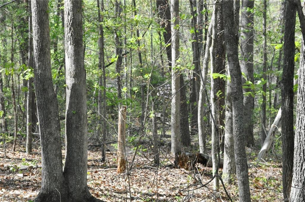 260 W Road Campobello, SC 29322 - Photo 22 of 23 a view of outdoor space