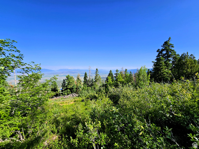 12 Pine Ridge Estates Drive, Unit 12 Mount Pleasant, UT 84647 - Photo 1 of 13