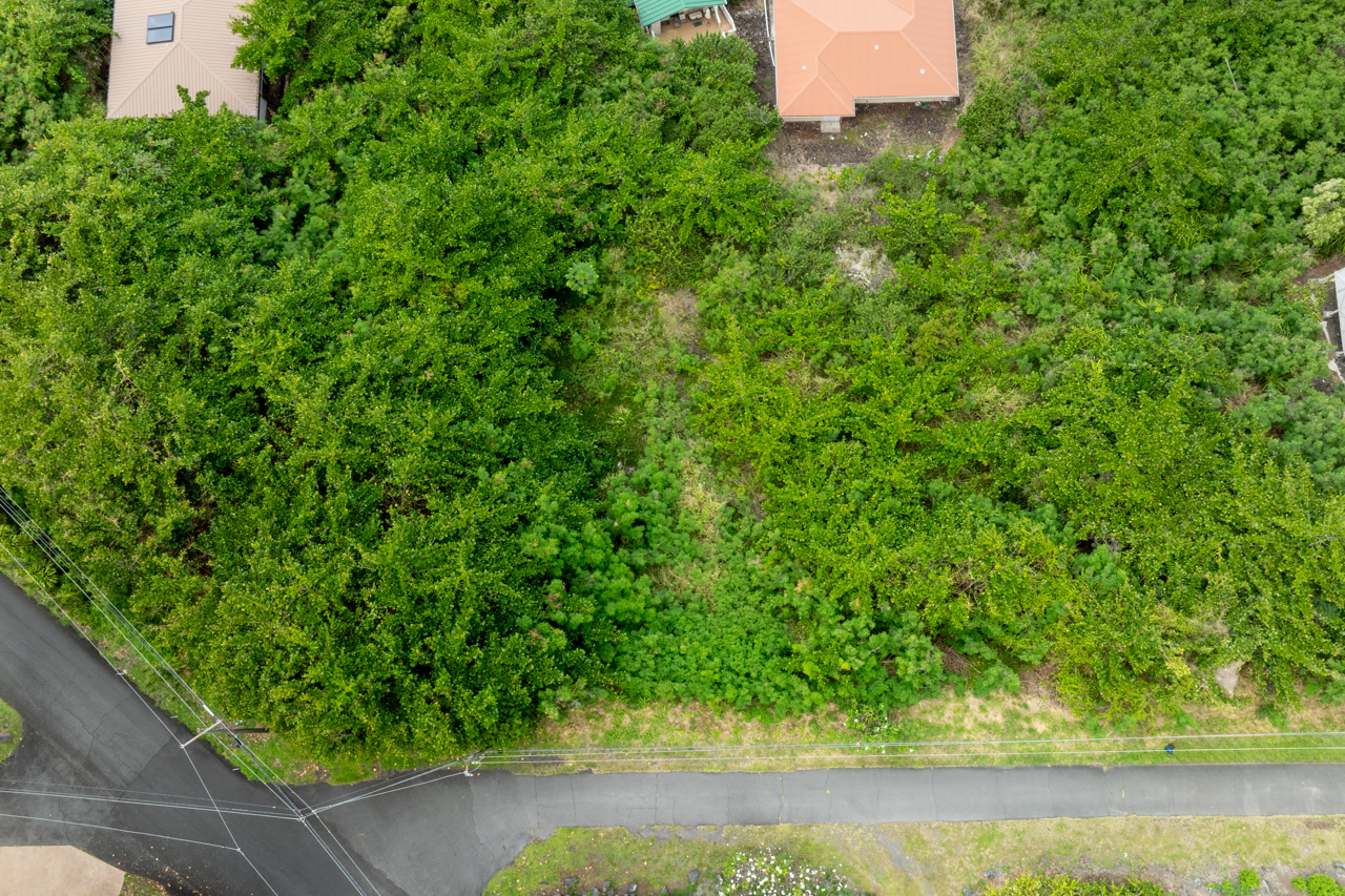 151 Rd East Captain Cook, HI 96704 - Photo 3 of 7 a view of a garden
