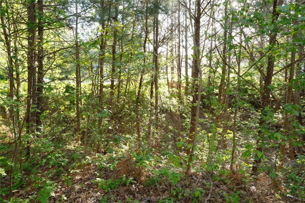 0 Hollyhock Lane Dallas, GA 30132 - Photo 3 of 6