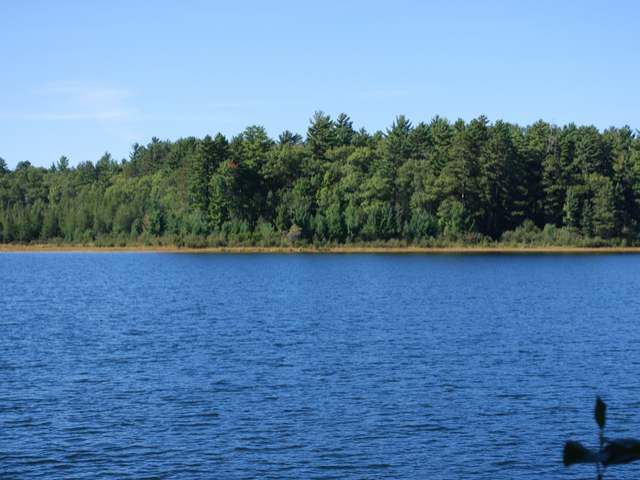 6389 Swallow Road Lake Tomahawk, WI 54539 - Photo 15 of 19 Gallery Image 15