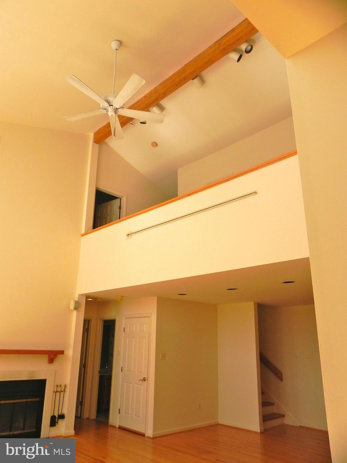 4 Elmwood Road Baltimore, MD 21210 - Photo 6 of 29 Living Room