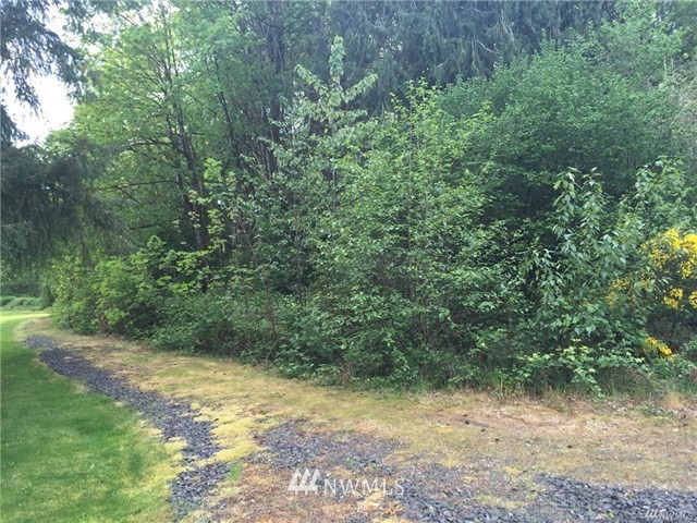 431 Quick Road Castle Rock, WA 98611 - Photo 1 of 1 Gallery Image 1