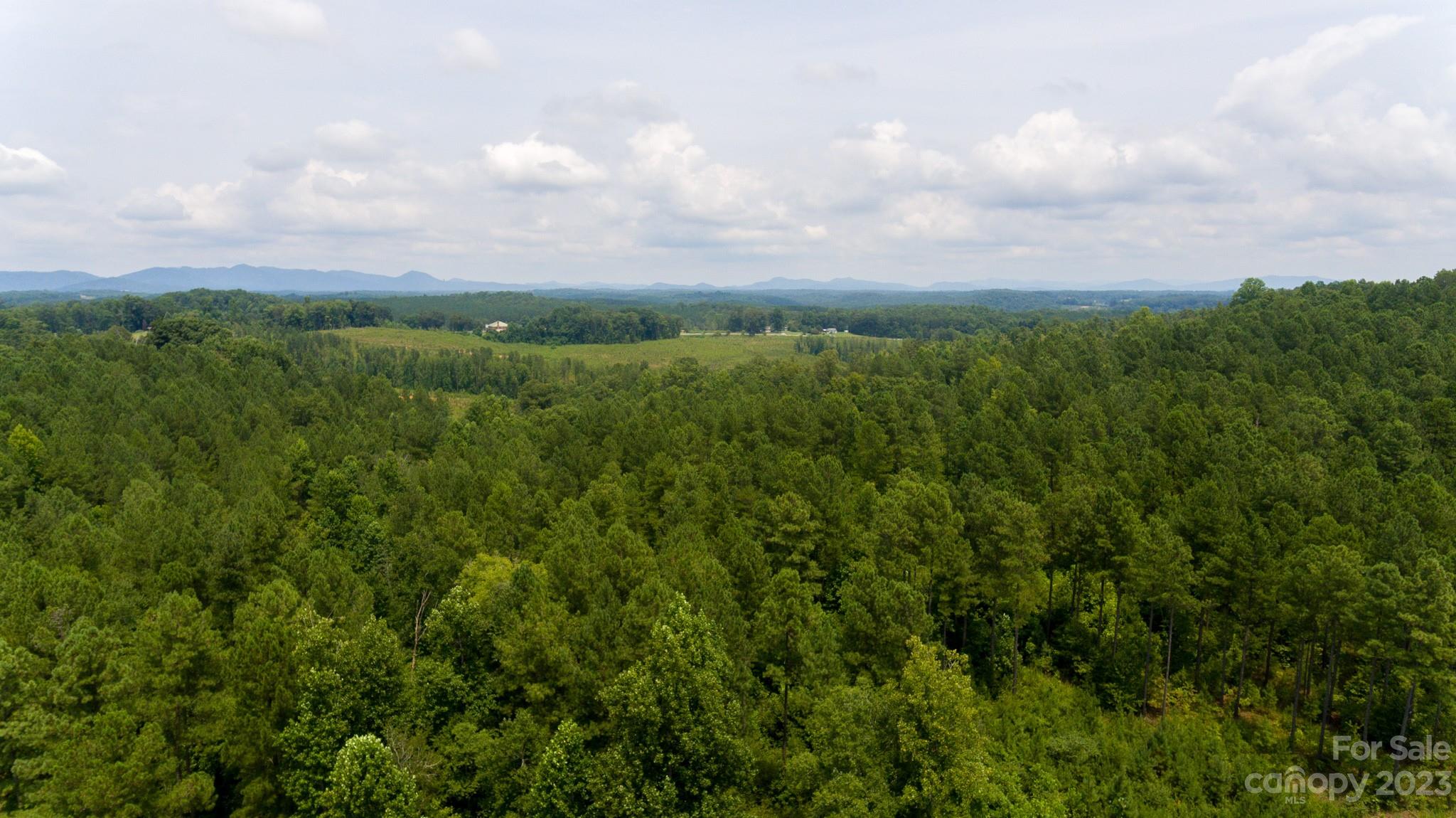 Tbd Moss Road Rutherfordton, NC 28139 - Photo 3 of 6 a view of a city and lush green forest