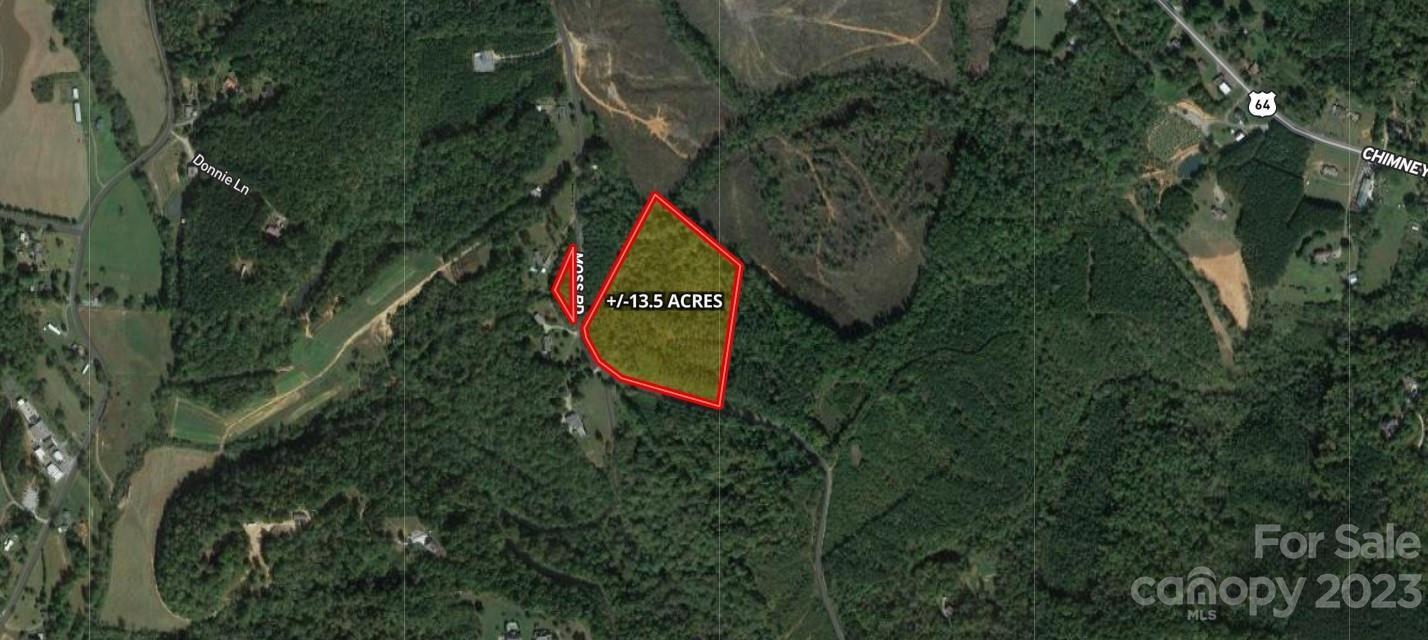 Tbd Moss Road Rutherfordton, NC 28139 - Photo 5 of 6 a sign that is sitting in the middle of a forest
