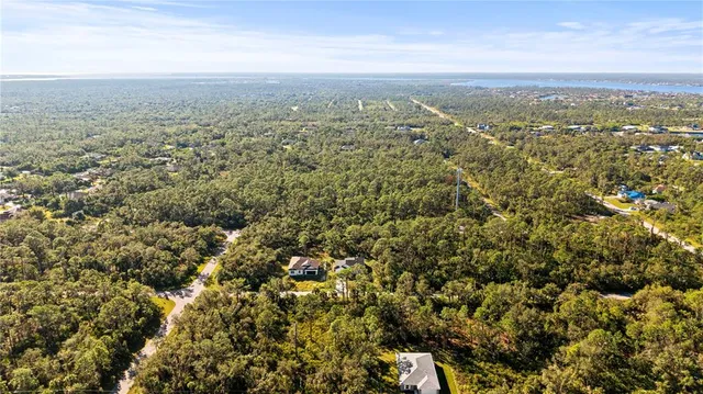 an aerial view of residential houses with outdoor space and trees