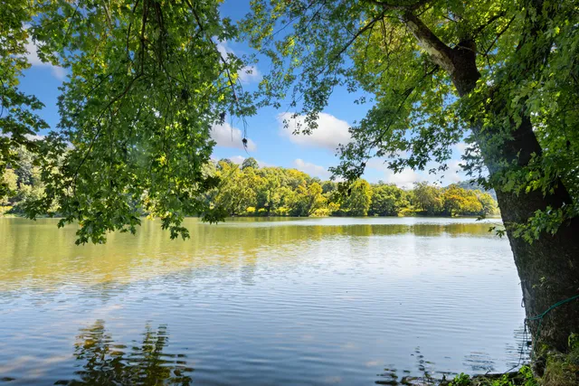 a view of room with wooden floor and fan