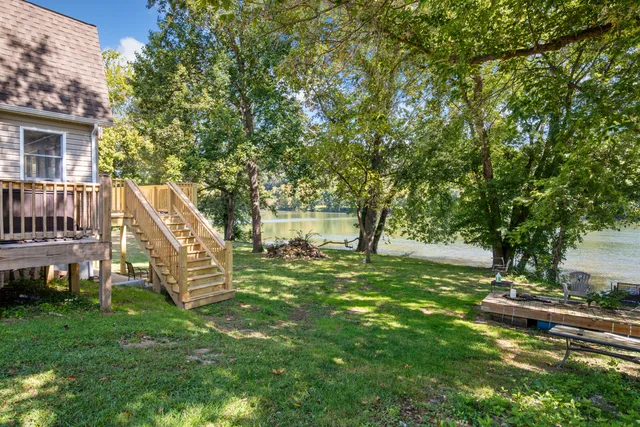 a view of a yard with a tree