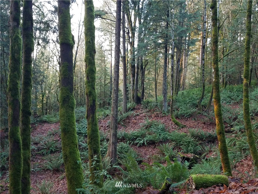 23827 Southeast Green Valley Road Auburn, WA 98092 - Photo 1 of 11