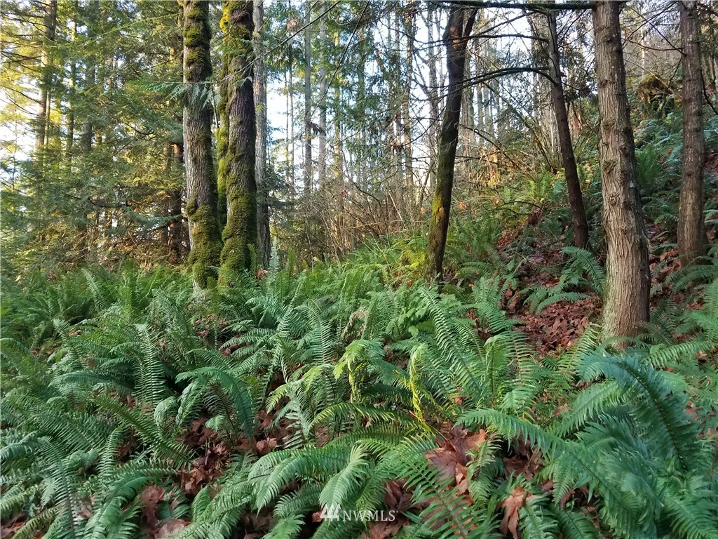 23827 Southeast Green Valley Road Auburn, WA 98092 - Photo 8 of 11