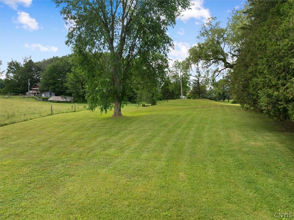229 Cedarville Road Litchfield, NY 13357 - Photo 11 of 34