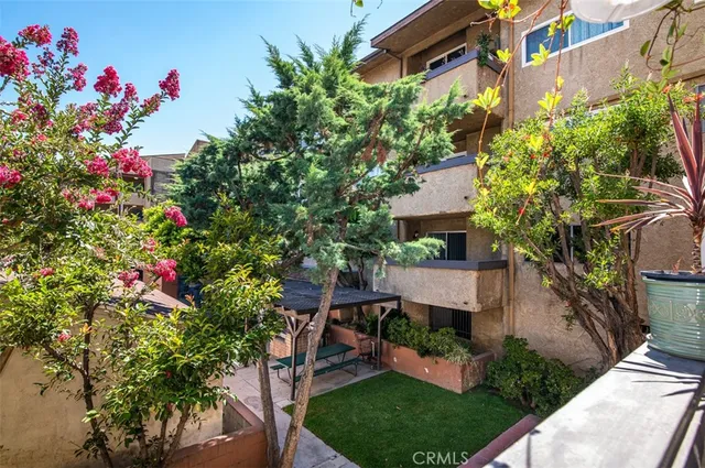 a picture of flowers